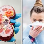 Study finds air pollution can trigger fatal kidney diseases