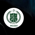 Govt warns of cyber attacks on critical digital infrastructure